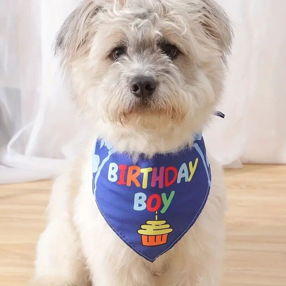 Happy Birthday Boy Dog Bandana Blue Cupcake Fits all‎ dogs Ships next day